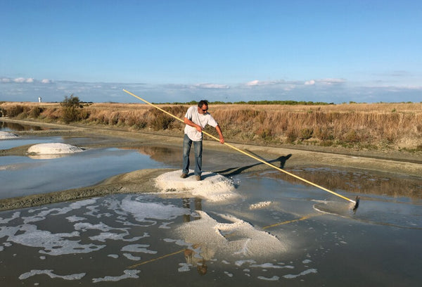 Salt