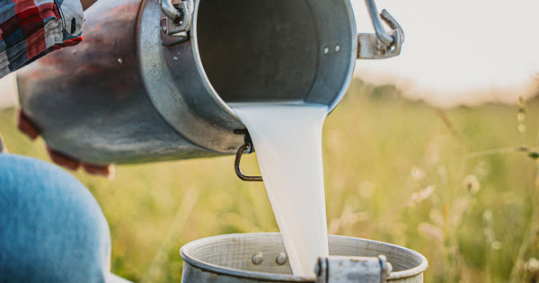 DAIRY
