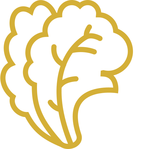 Food icon 3