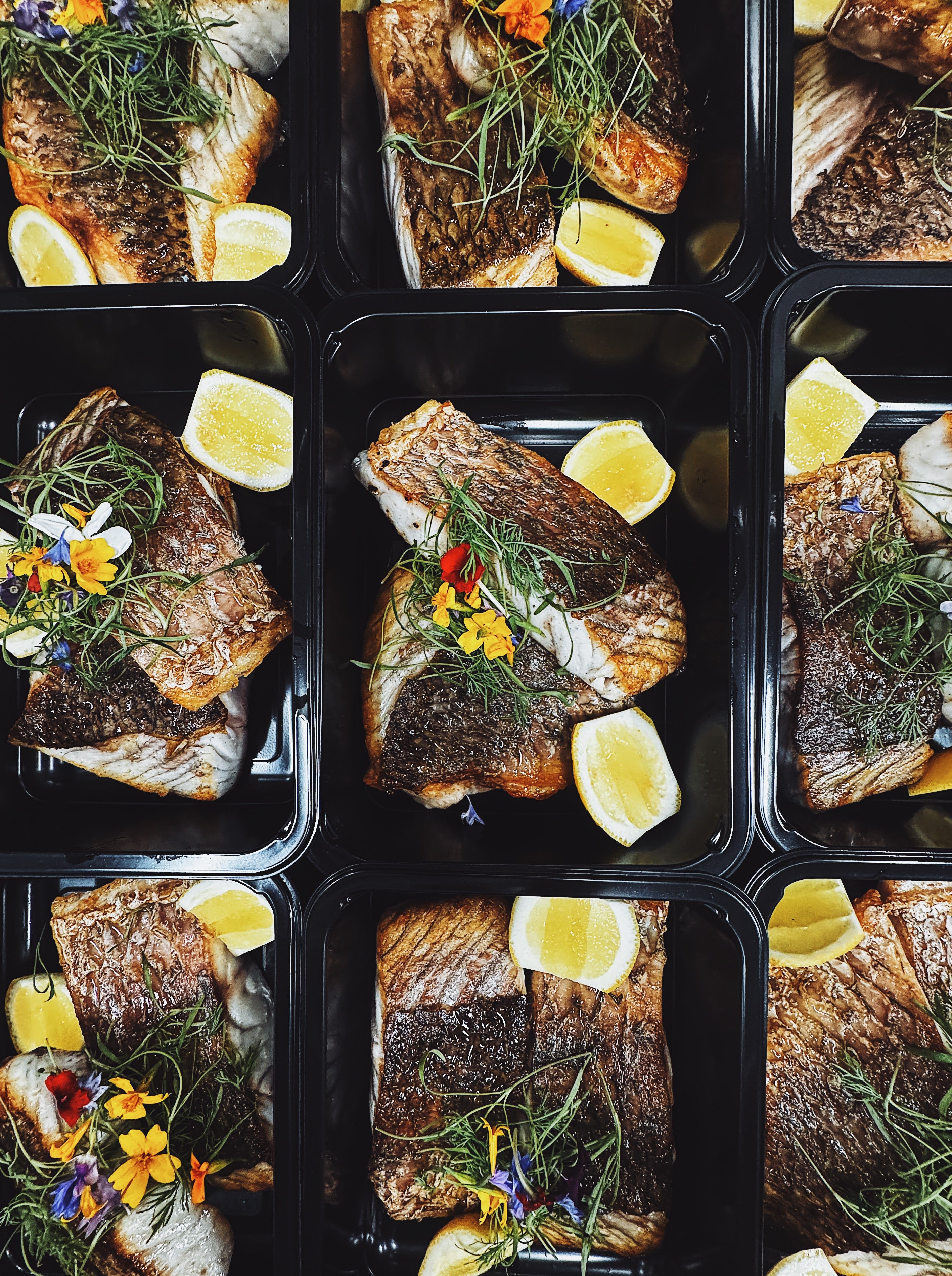 Assorted nutrient-dense meal prep dishes featuring wild-caught seafood and grass-fed protein
